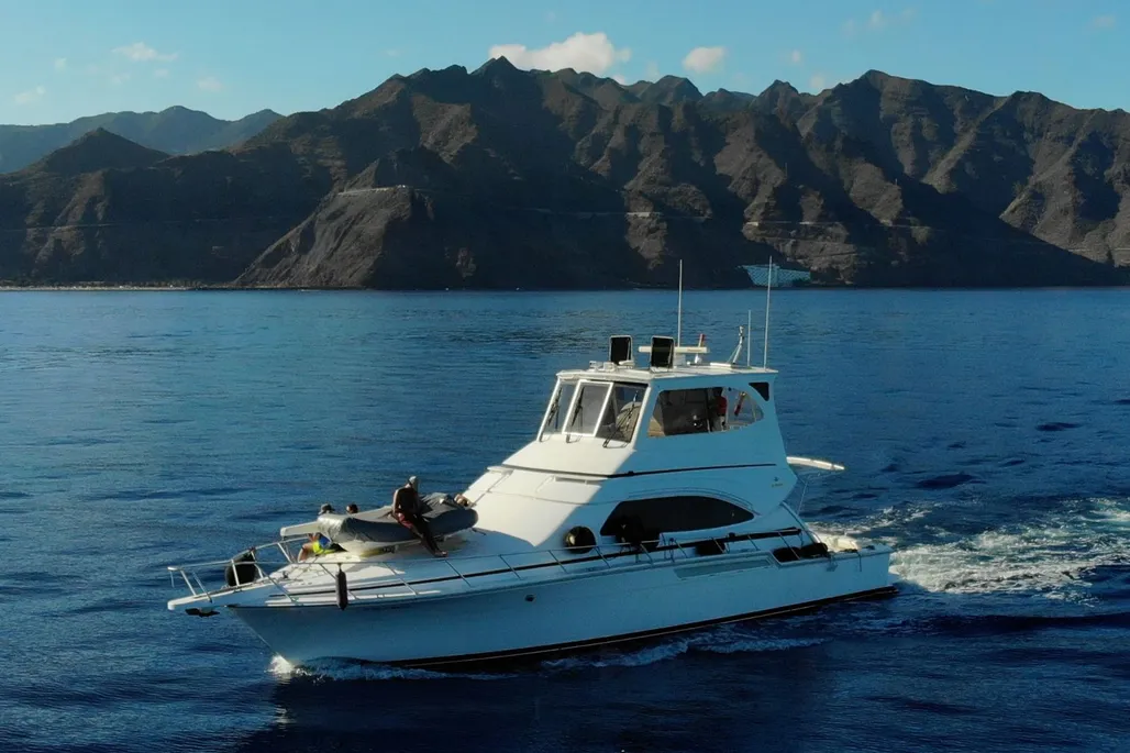Bertram 510 used - photo 1