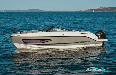 Quicksilver 755 Cruiser (Anniversary) Mercury F250 gebraucht - Foto 1