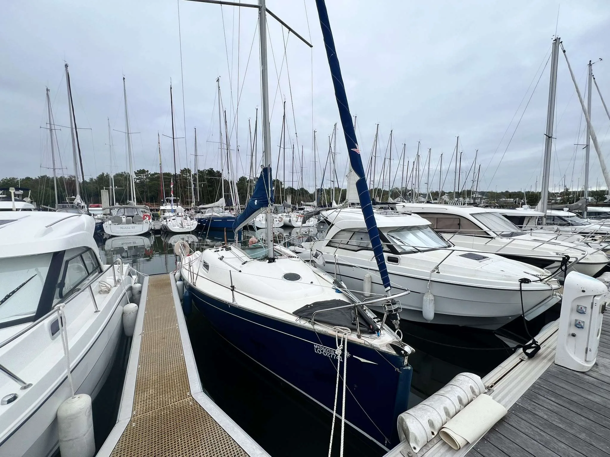 Jeanneau SUN 2500 gebraucht - Foto 1
