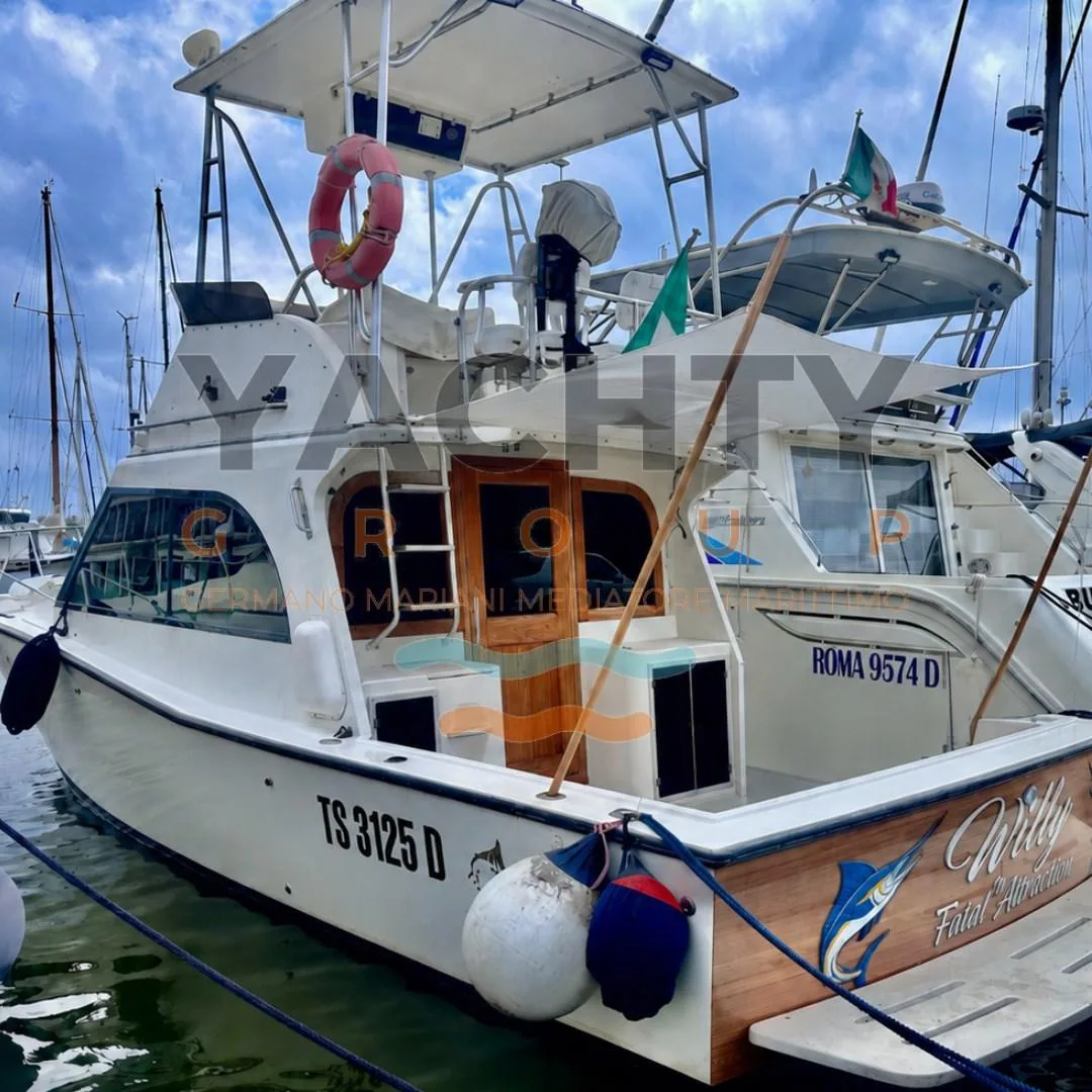 Albemarle 32' fly gebraucht - Foto 1
