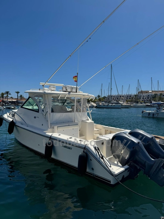Pursuit 345 offshore used - photo 1