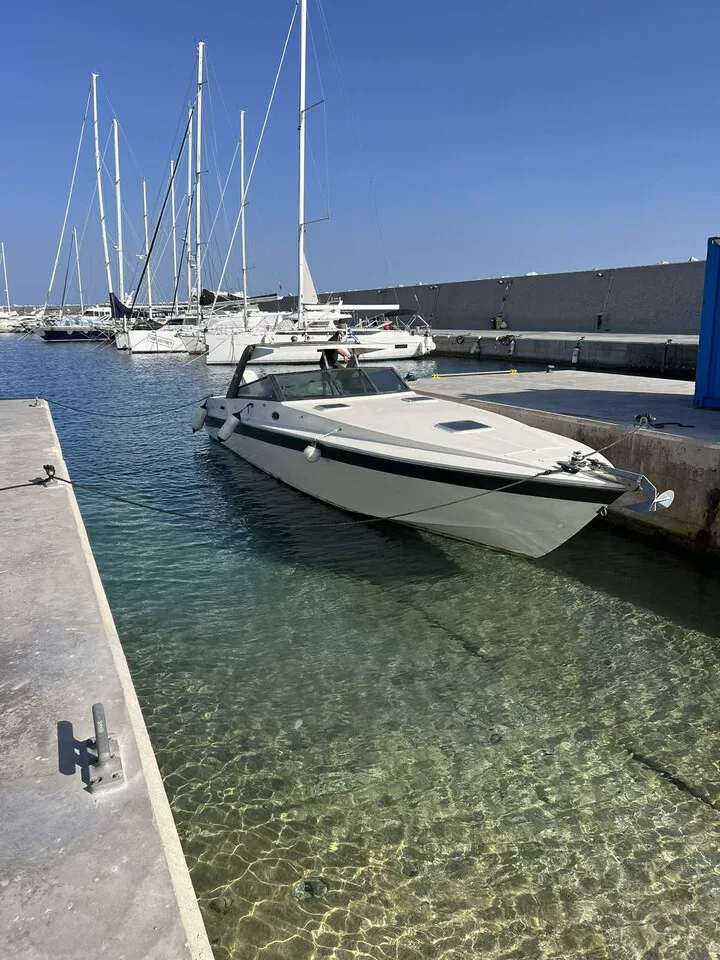 Cigala & Bertinetti Shark 43 gebraucht - Foto 1