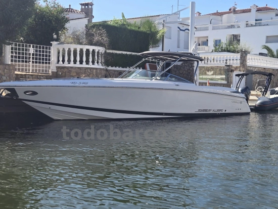 Cobalt 343 d'occasion - photo 1