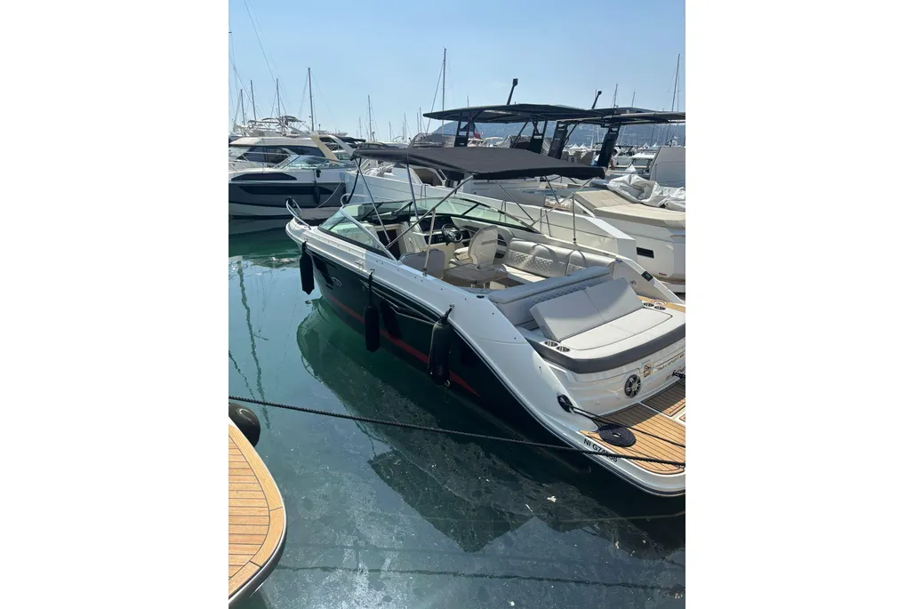Sea Ray Sun Sport 250 usato - foto 1