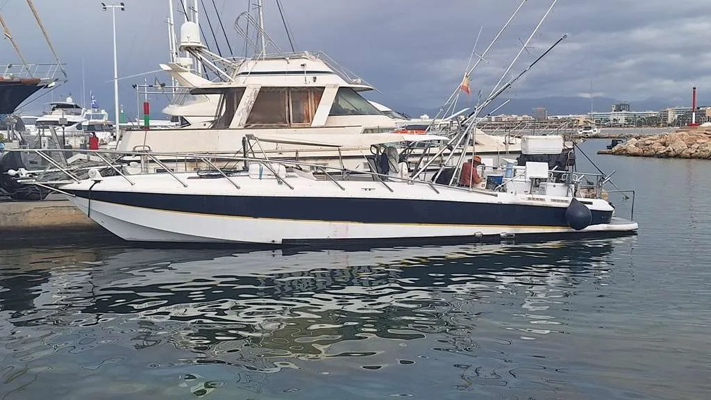 Deltamar MAREA 40 SPORT FISHER used - photo 1