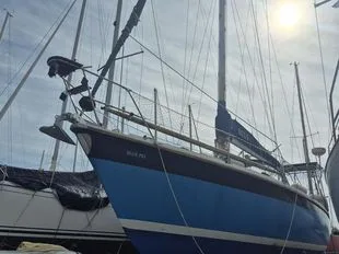 Westerly Conway 36' used - photo 1