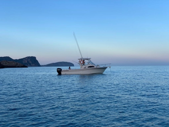 Grady-White Sailfish 282 gebraucht - Foto 1