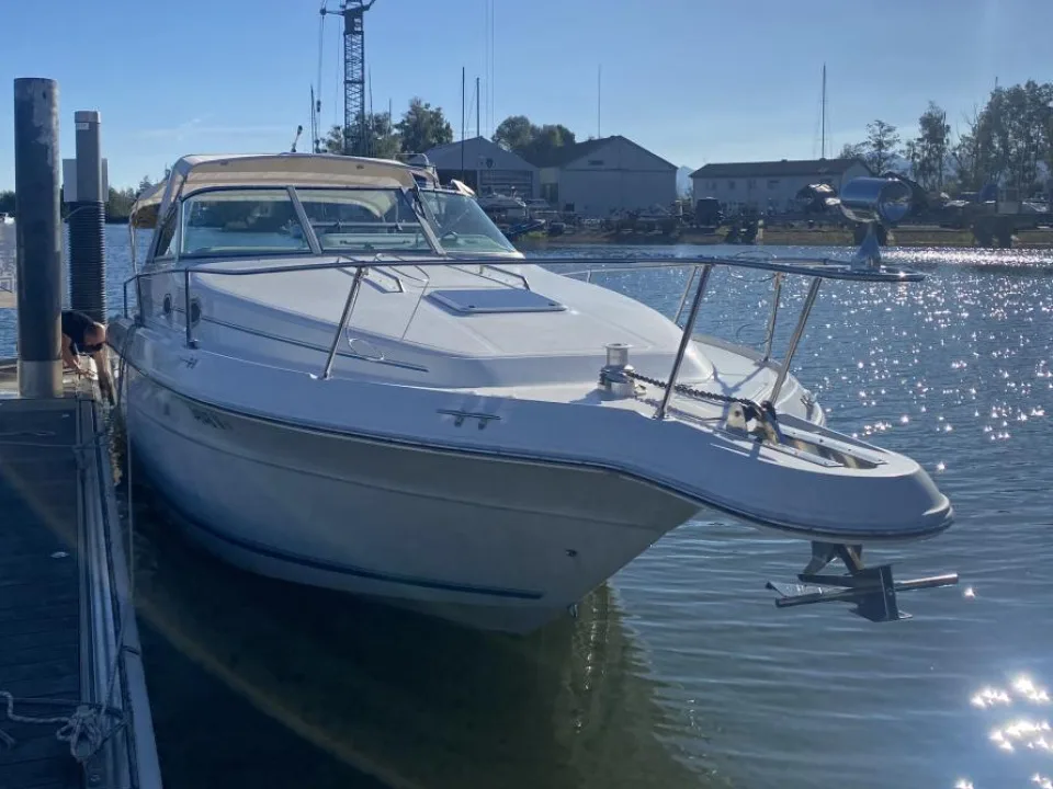 Sea Ray Sundancer 300 gebraucht - Foto 1