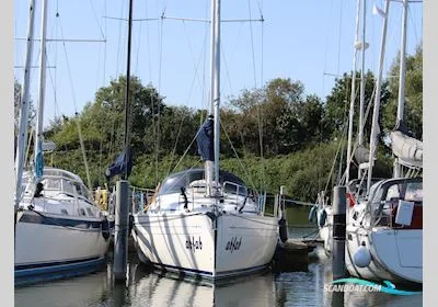 Bavaria Yachts 37 Cruiser used - photo 1