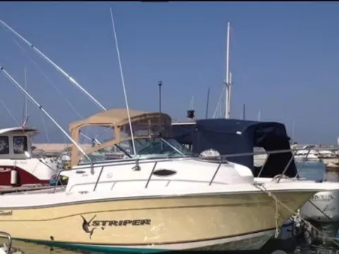 Seaswirl Striper used - photo 1