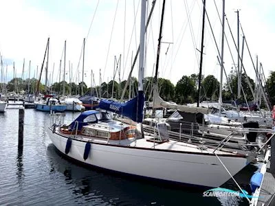 Van de Stadt Splinter 30 gebraucht - Foto 1