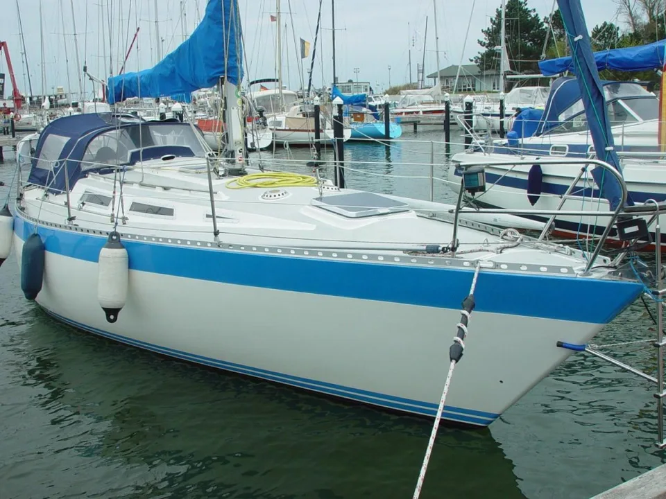 Wauquiez Gladiateur 33 usato - foto 1