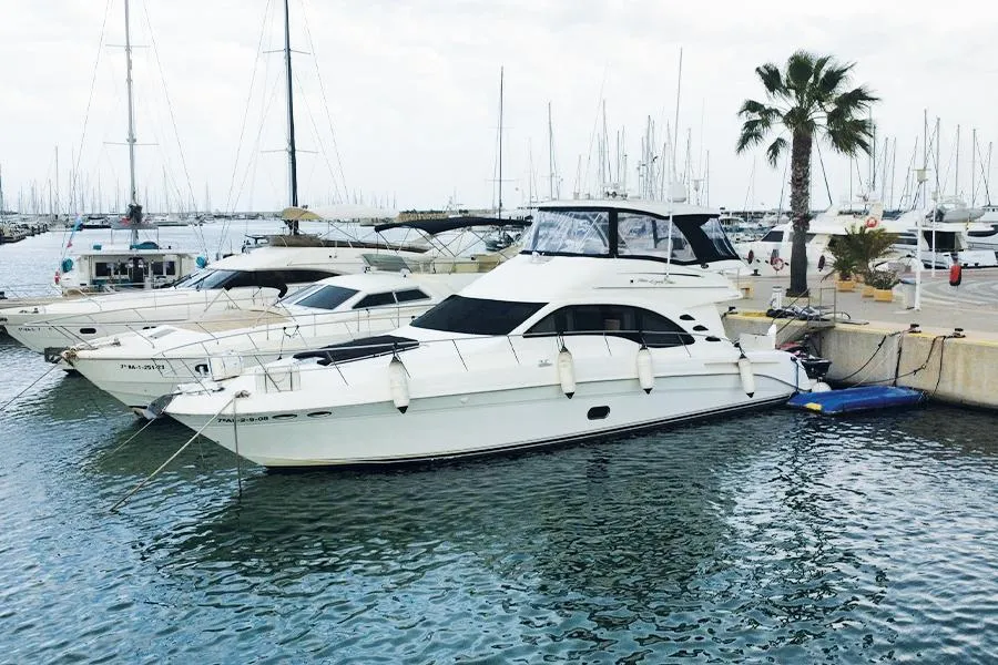 Sea Ray 550 Sedan Bridge usato - foto 1