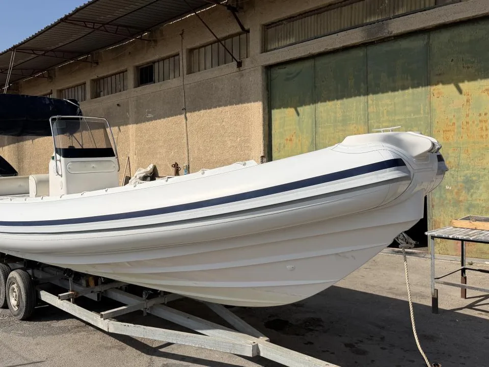 Selva D800 Mercury V8 Racing 300 gebraucht - Foto 1