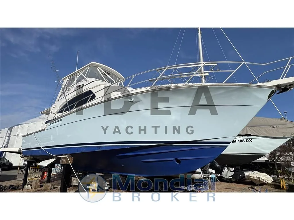 Bertram 450 Convertible used - photo 1