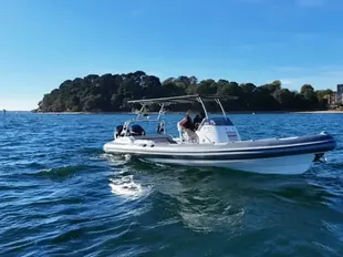Cobra Ribs Nautique 8.7 gebraucht - Foto 1