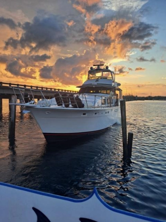 Bertram 58 Motor Yacht used - photo 1