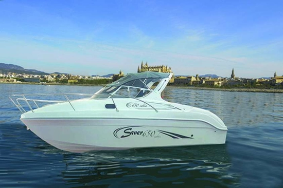 Saver 650 CABINE gebraucht - Foto 1