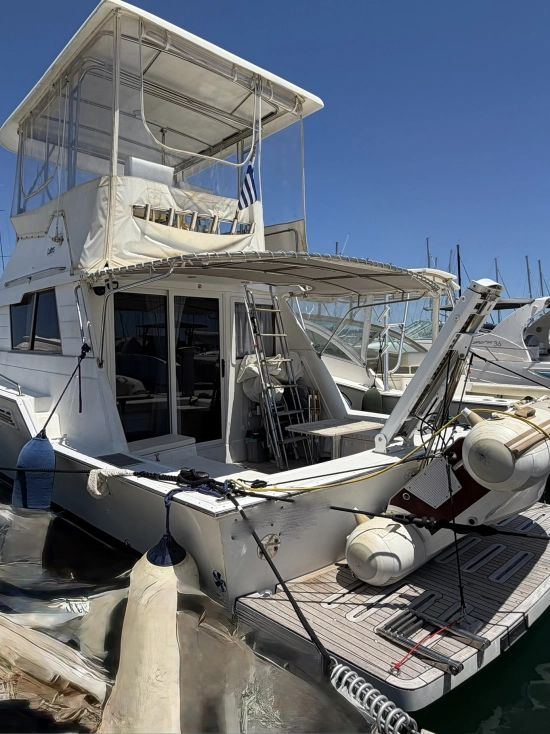 Luhrs 342 used - photo 1