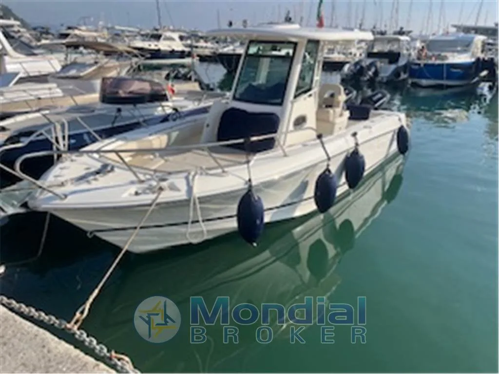 BOSTON WHALER 250 OUTRAGE usato - foto 1