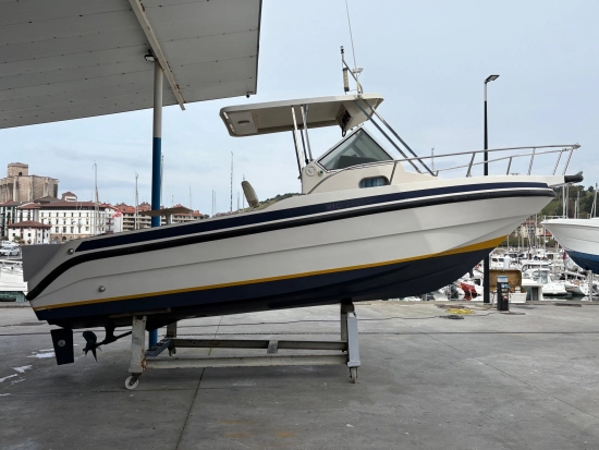 Rio 700 Fish usato - foto 1