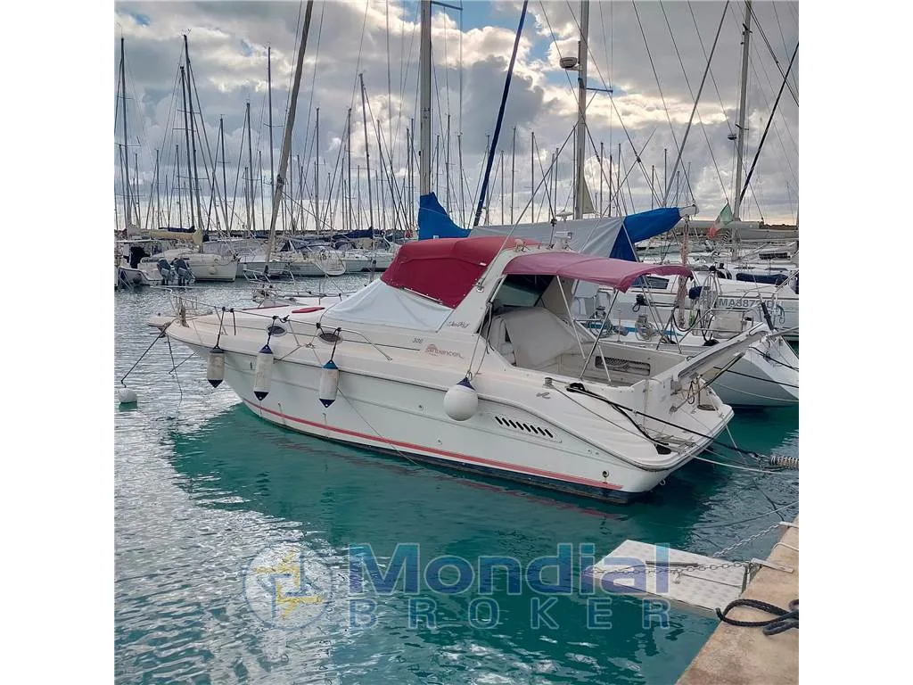 Sea Ray Sundacer 35 usato - foto 1