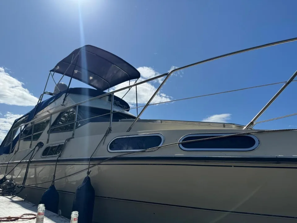 Sealine 305 usato - foto 1