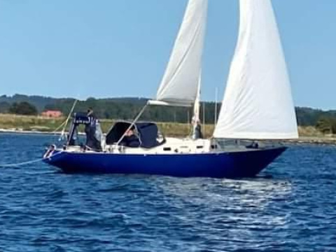 OE 36 usato - foto 1