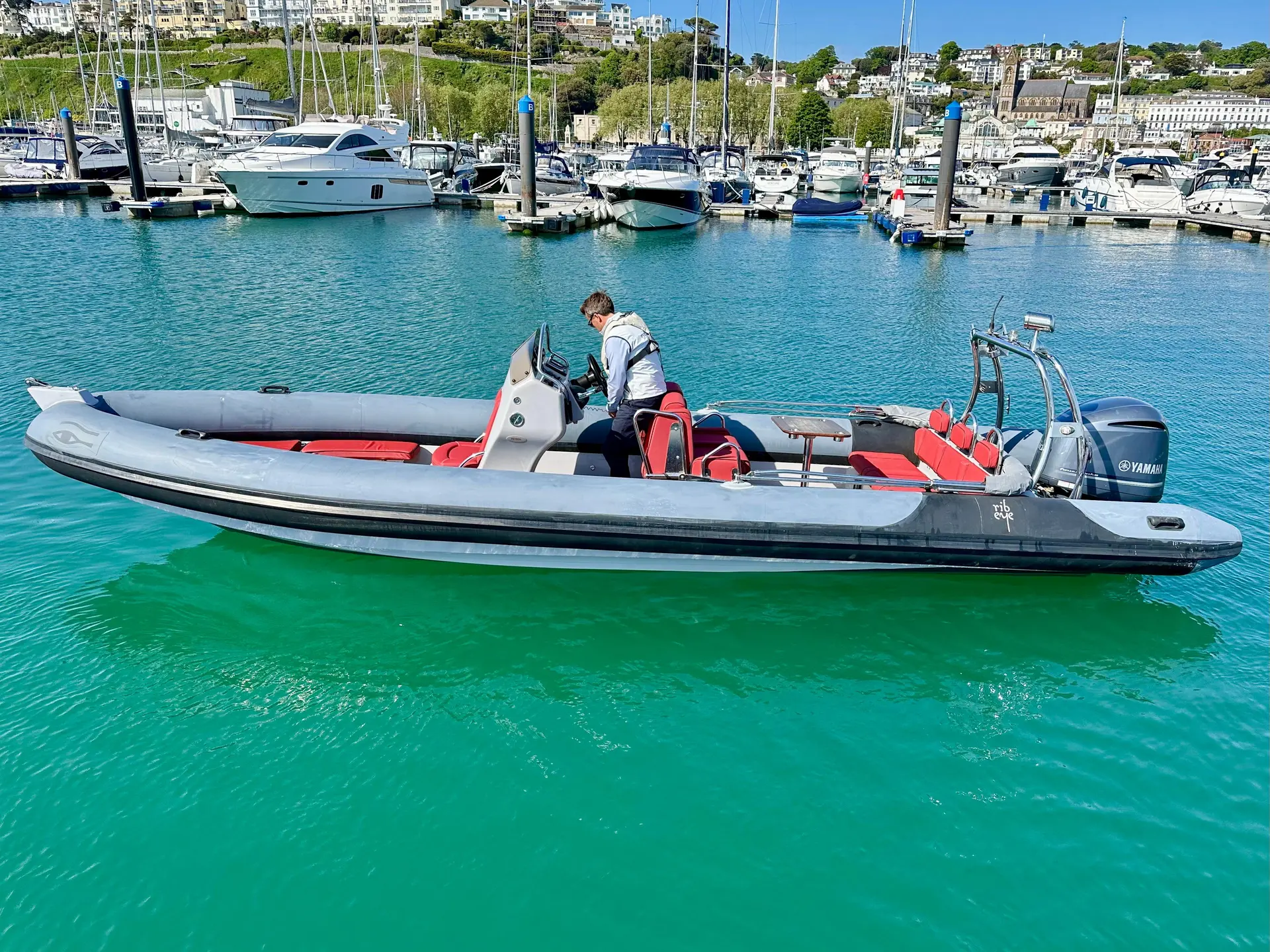 Ribeye S785
