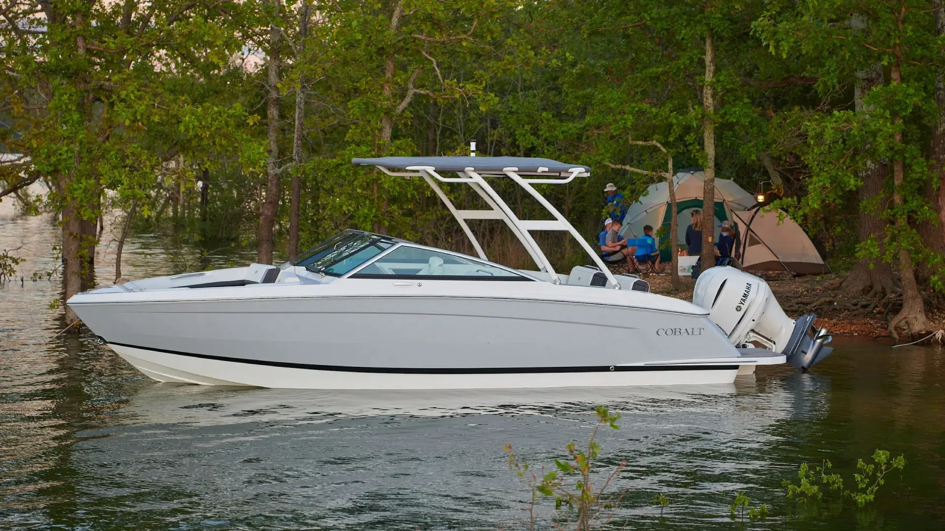 Cobalt Boats R6