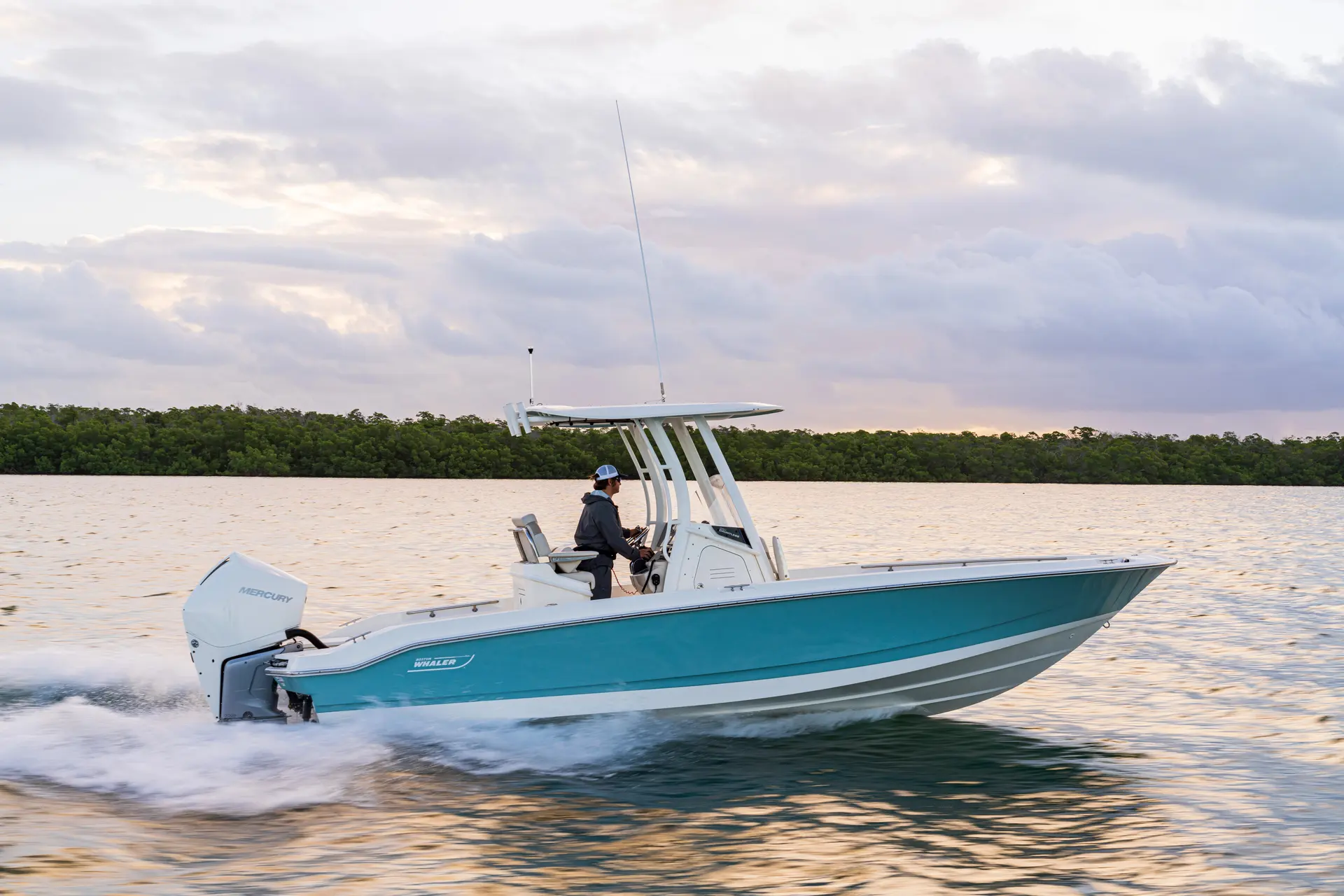 Boston Whaler 250 Dauntless