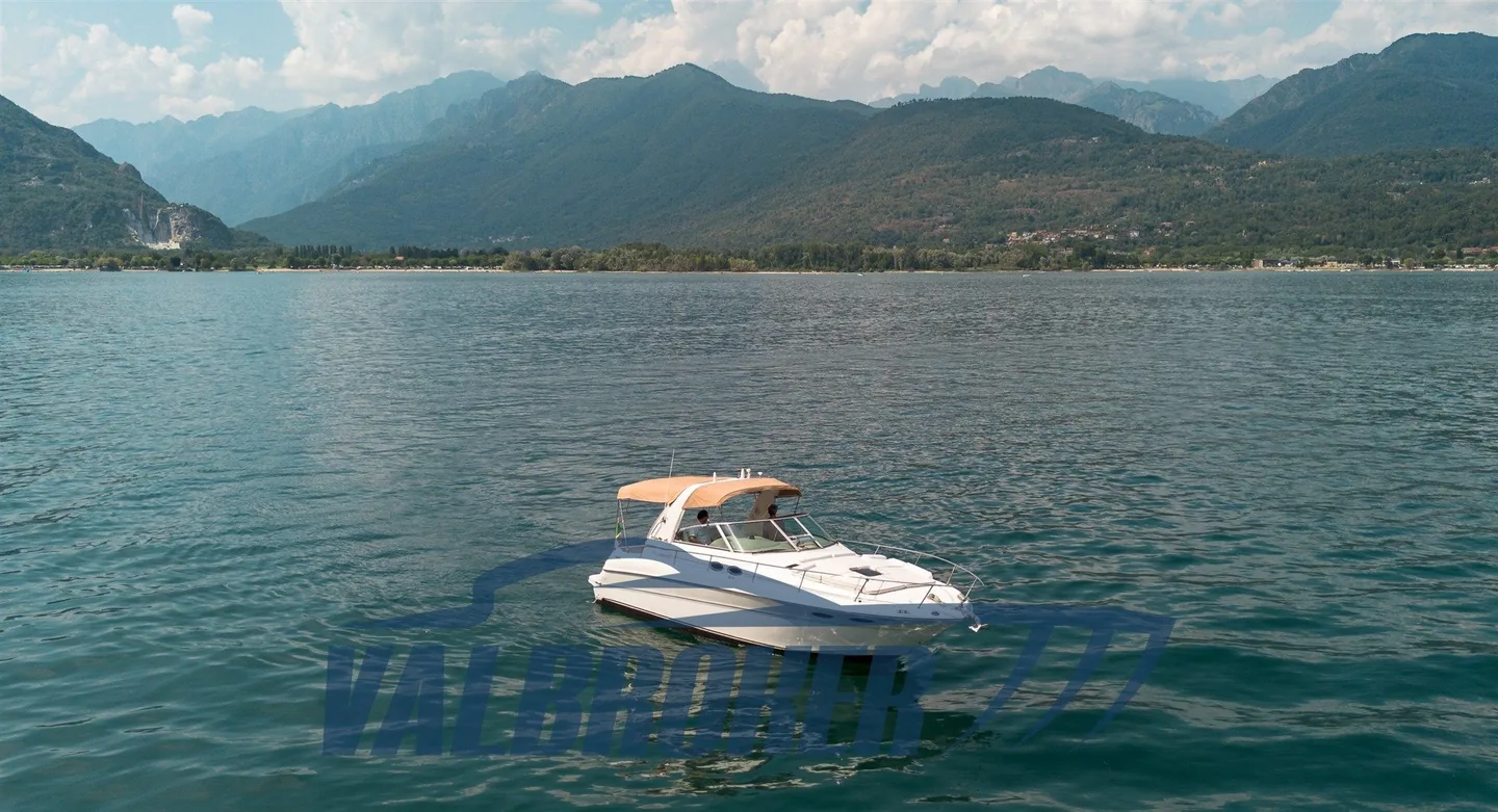 Sea Ray 310 Sundancer in Fahrt, Außenansicht aus dem aktuellen Batoo-Inserat