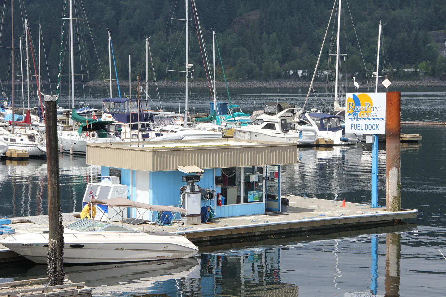 Tanksteg einer Marina mit Zapfsäulen und festgemachten Booten