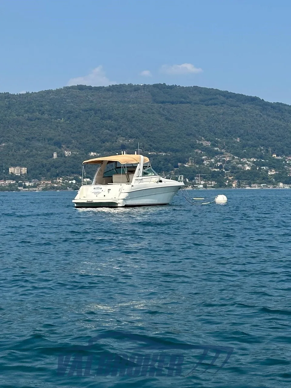 Sea Ray 310 Sundancer im aktuellen Batoo-Inserat fotografiert, Bild 2